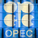 Oil barrels with OPEC siymbol. 3d illustration
